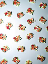 Load image into Gallery viewer, Mystery Meat